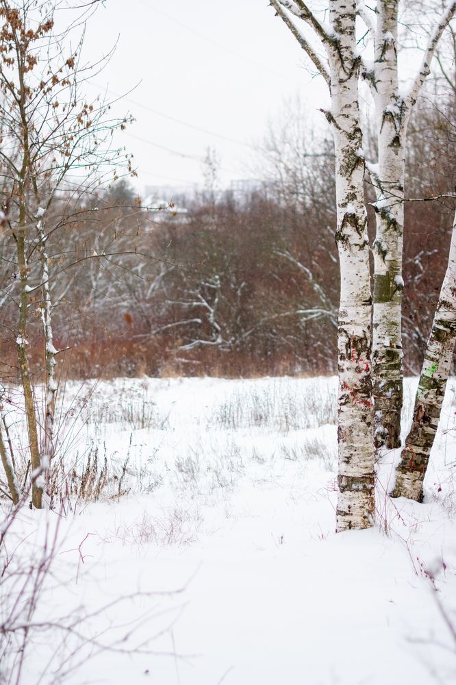 Photograph by Юлия Вершинина