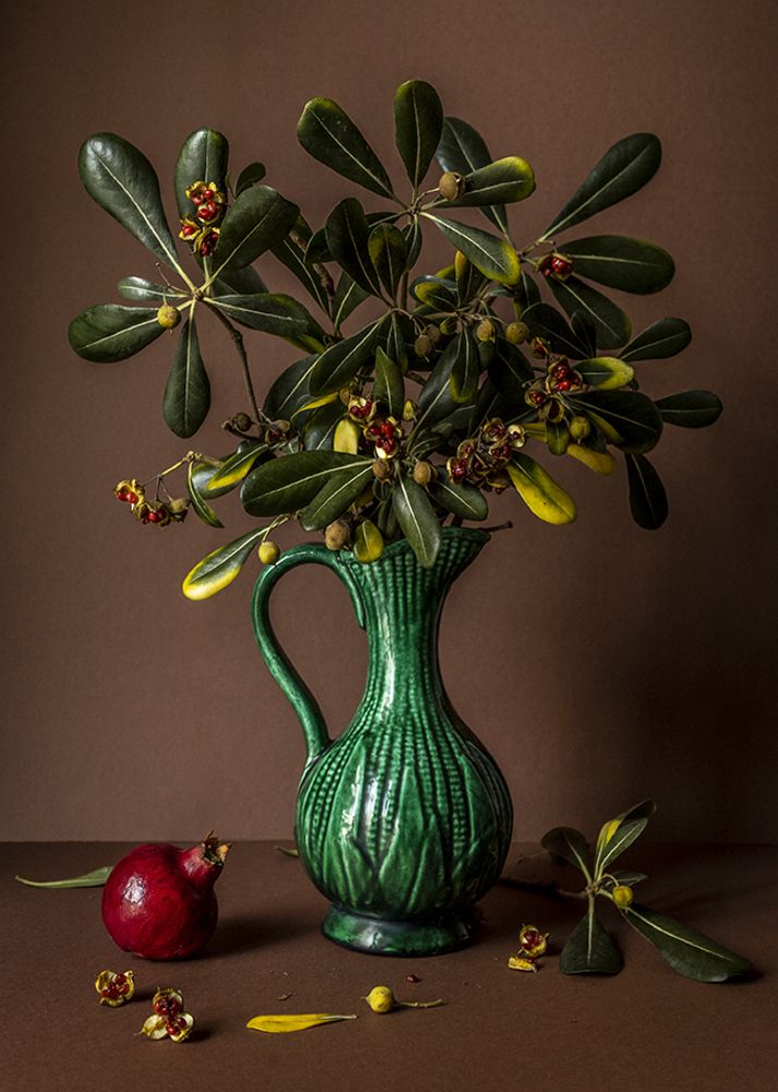 Photograph by Kate Goula