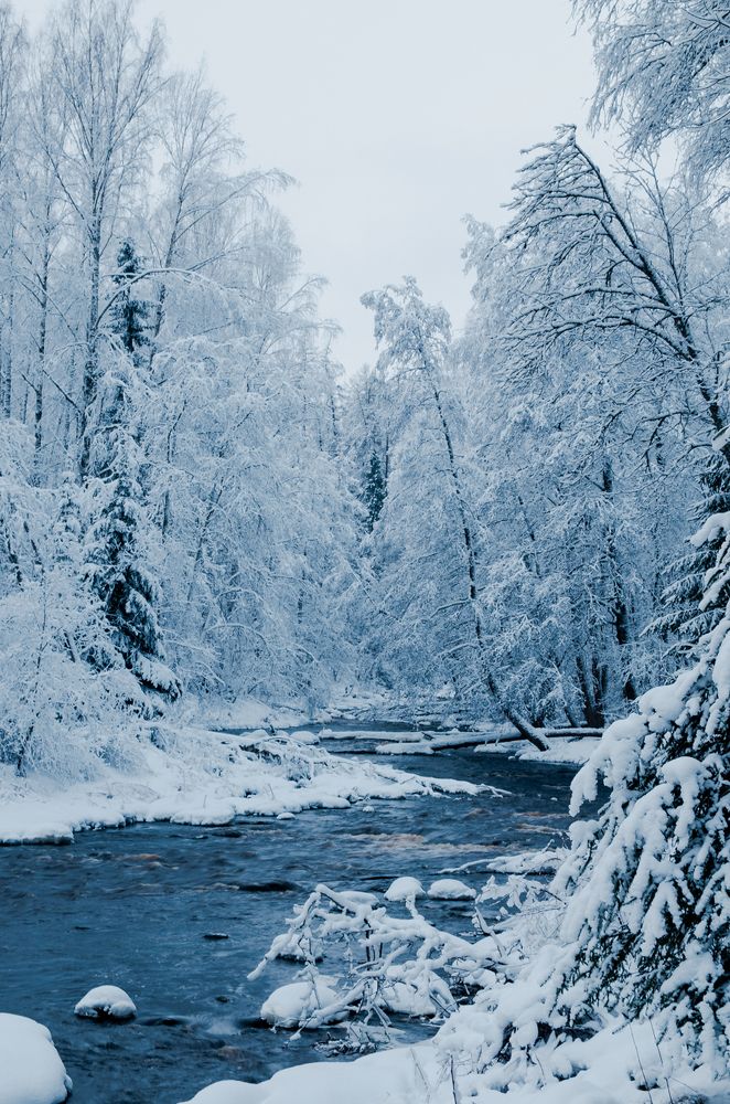 Photograph by Alexey S