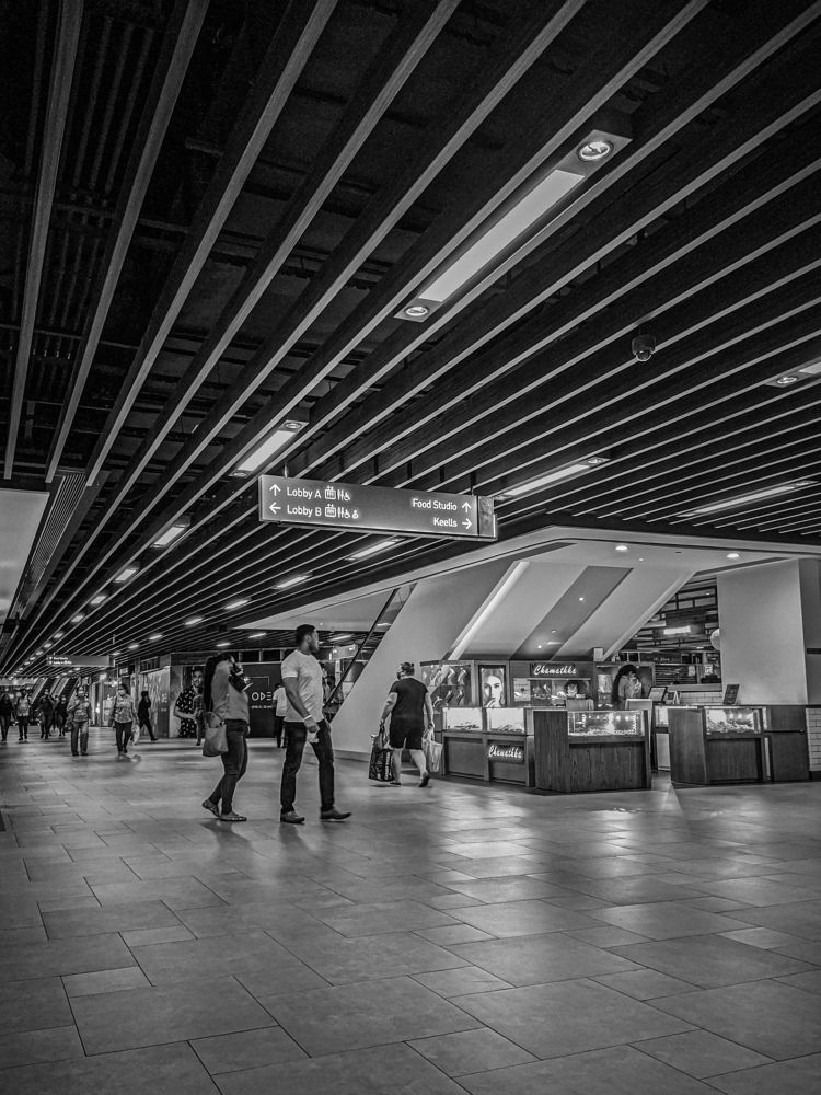 Photo #5930311