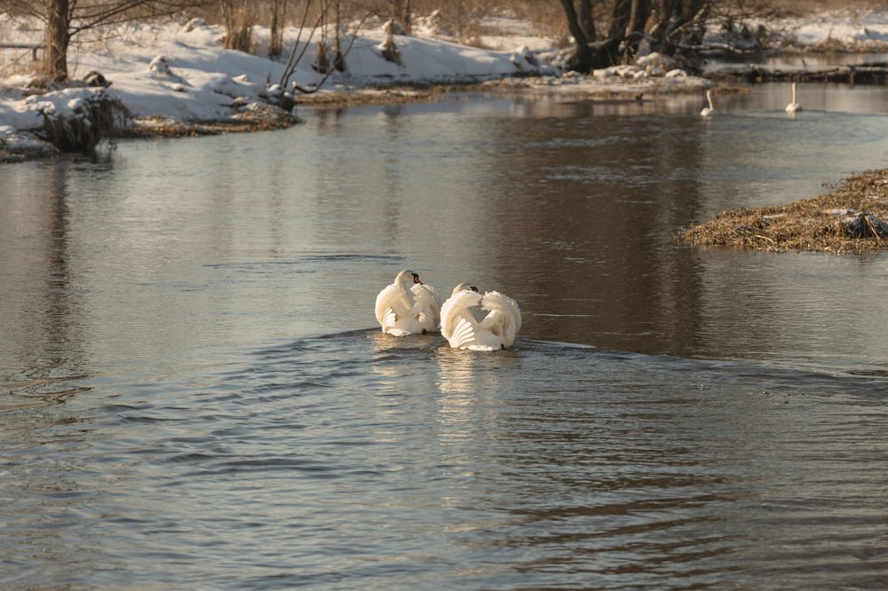 Photograph by Елена Иванова