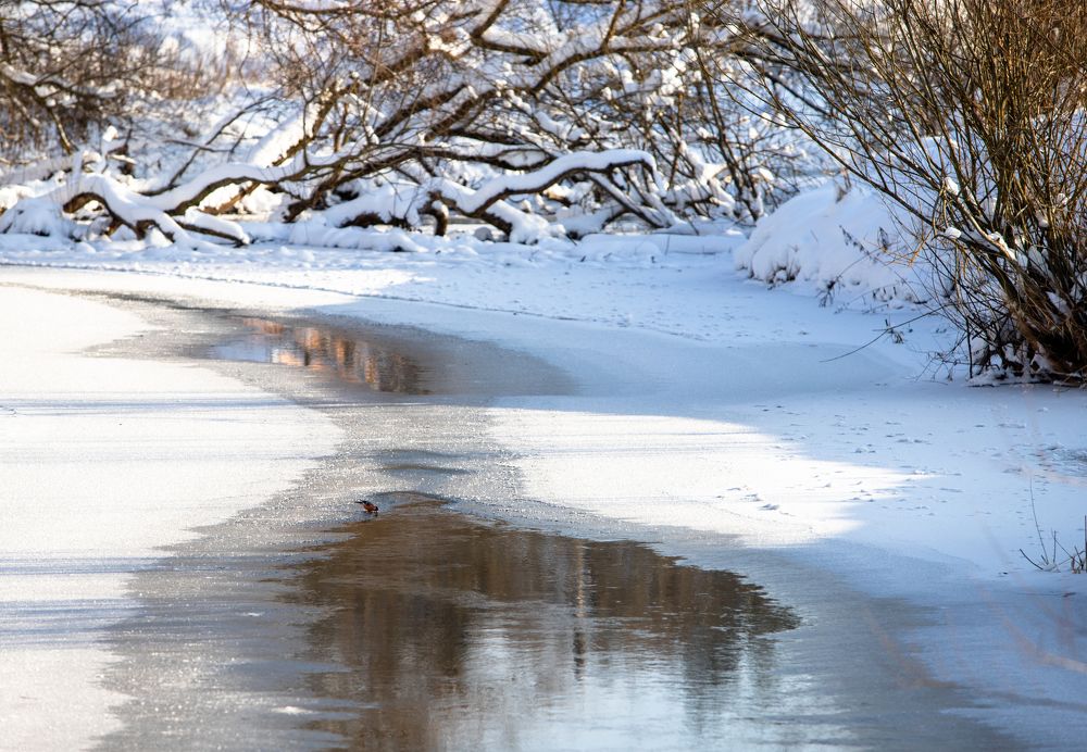 Photograph by Елена Иванова