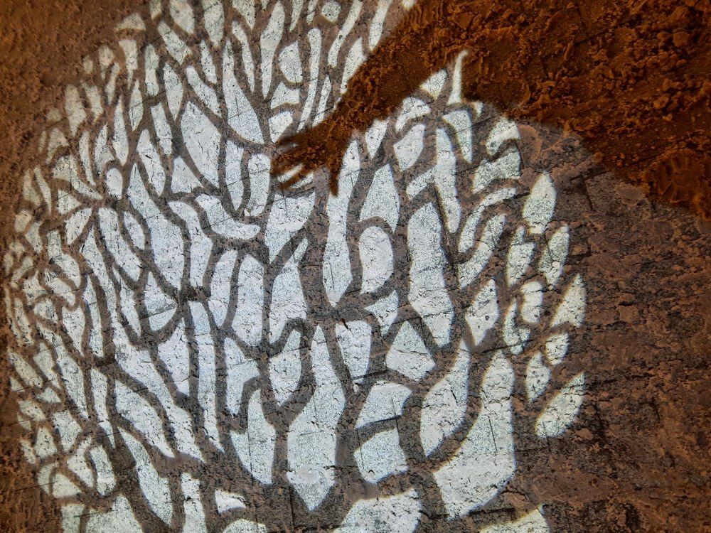 Photograph by Иванова Ира