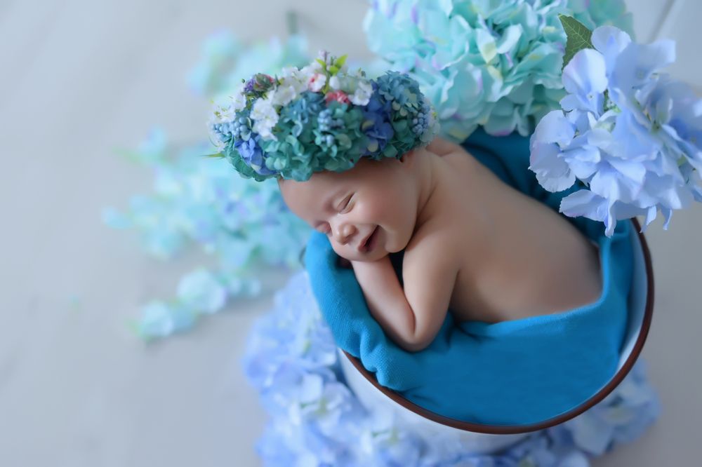 Фотография автора Katerina Zlateva