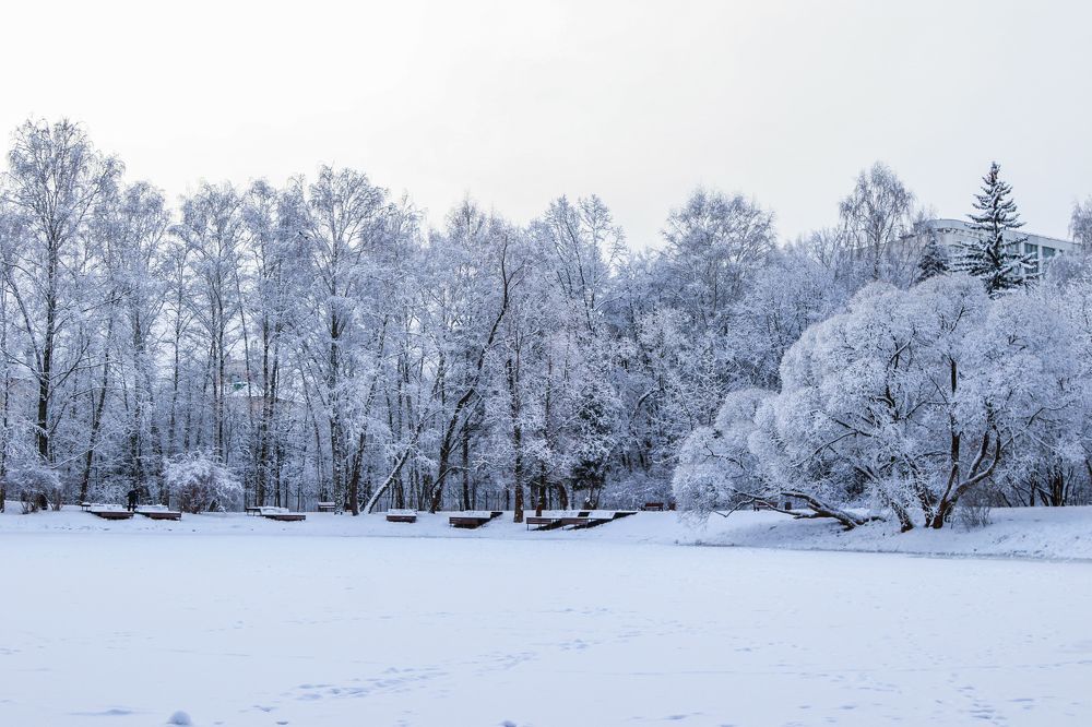 Нарышкинский пруд