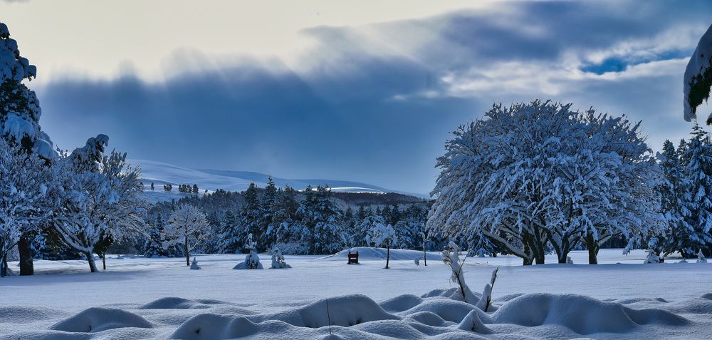 Photograph by Aleksandr Jefimov