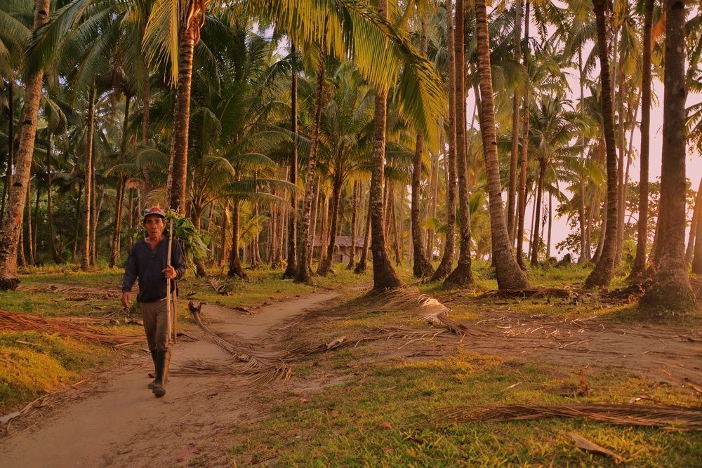 Photograph by niño villanueva