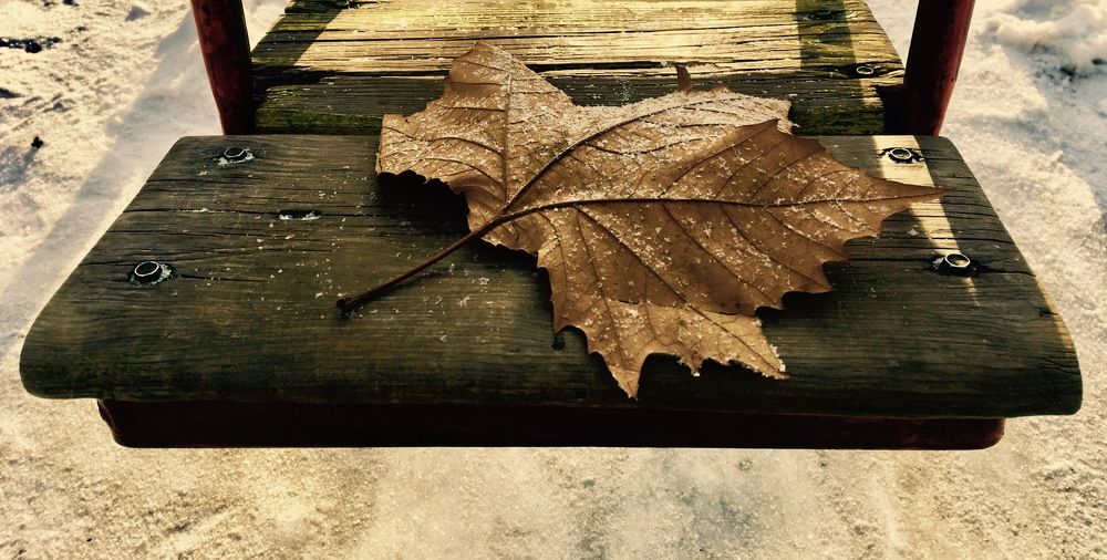 Photograph by Елена Ким