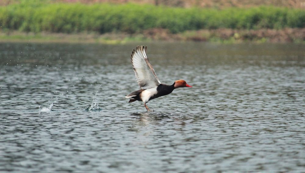 Photograph by Diganto Ghosh