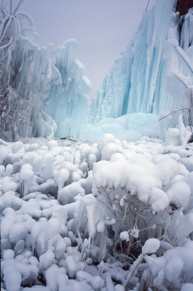 Photograph by Алексей Заморкин