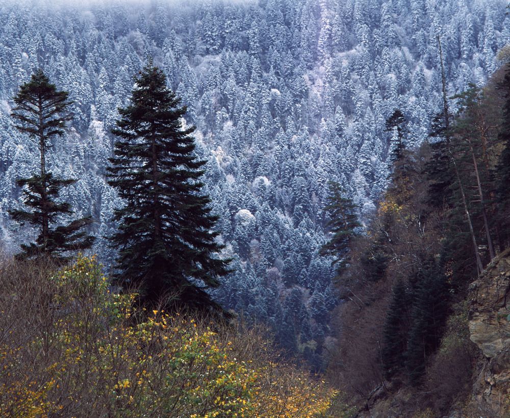 Photograph by Алексей Заморкин