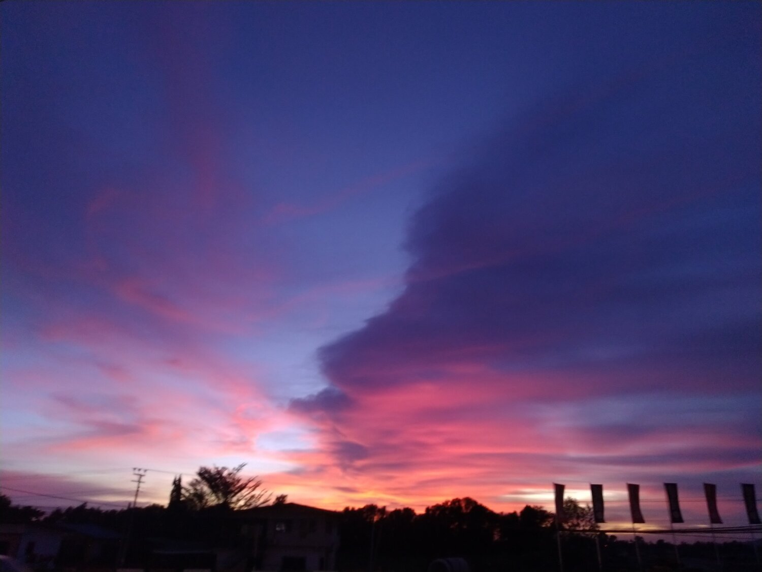Photo #5930751