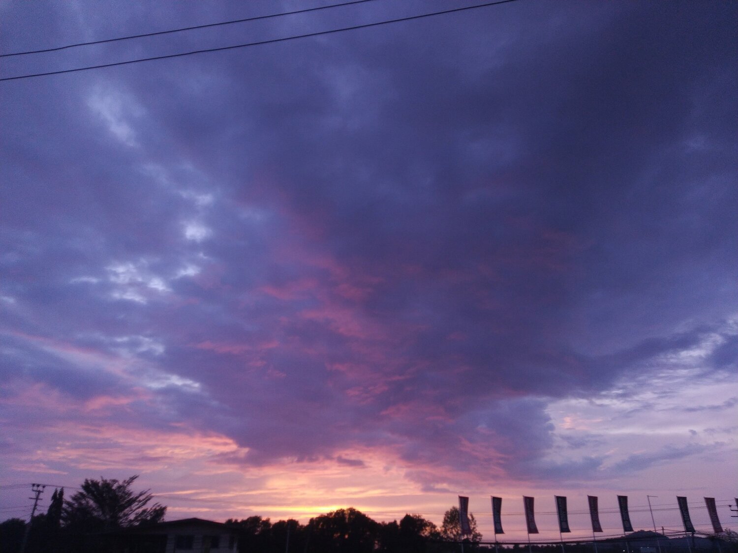Photo #5930752