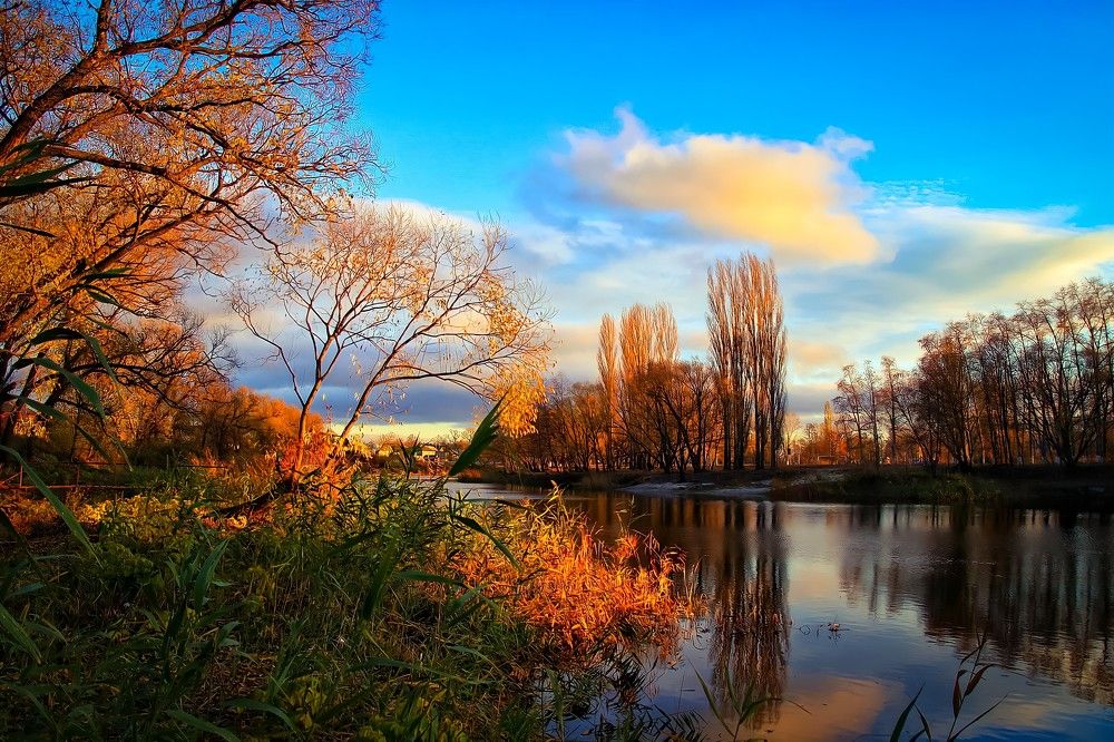 Photograph by Андрей Потапов