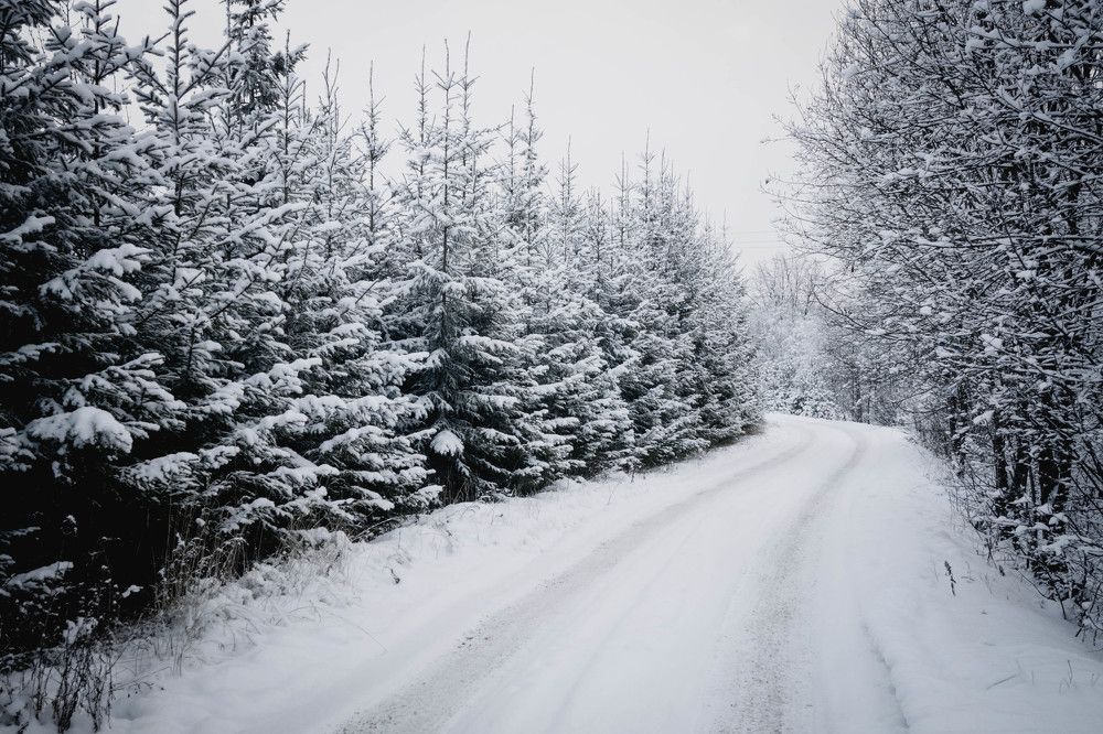 Photograph by Константин