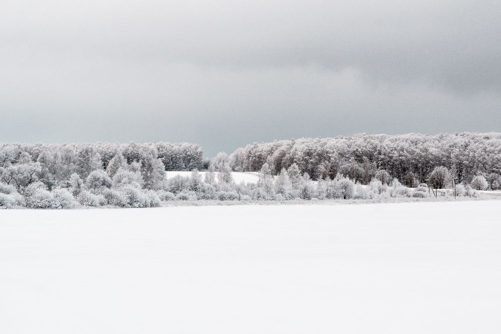 Photograph by Константин