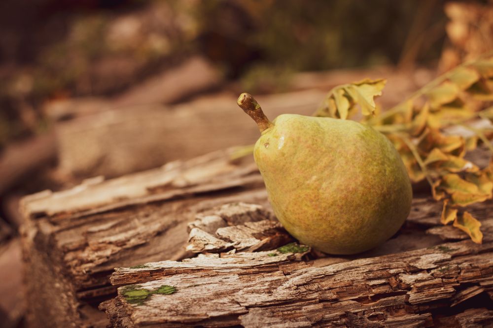 Photograph by Виктория Козинец