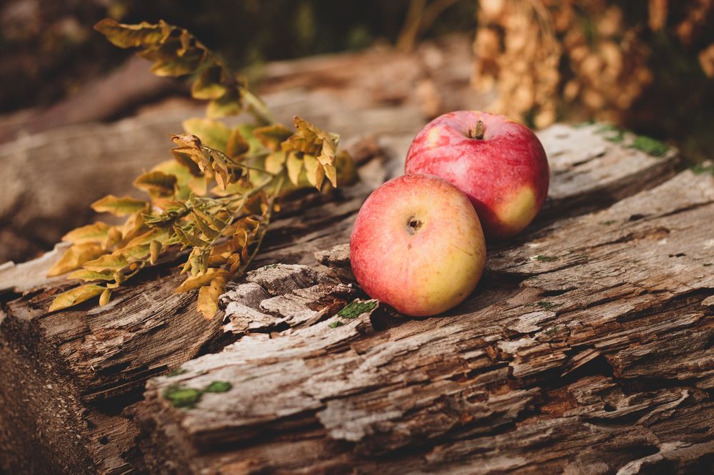 Photograph by Виктория Козинец
