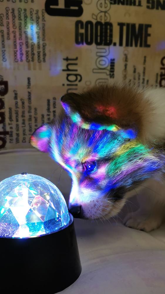 Photograph by Оля Герасимова