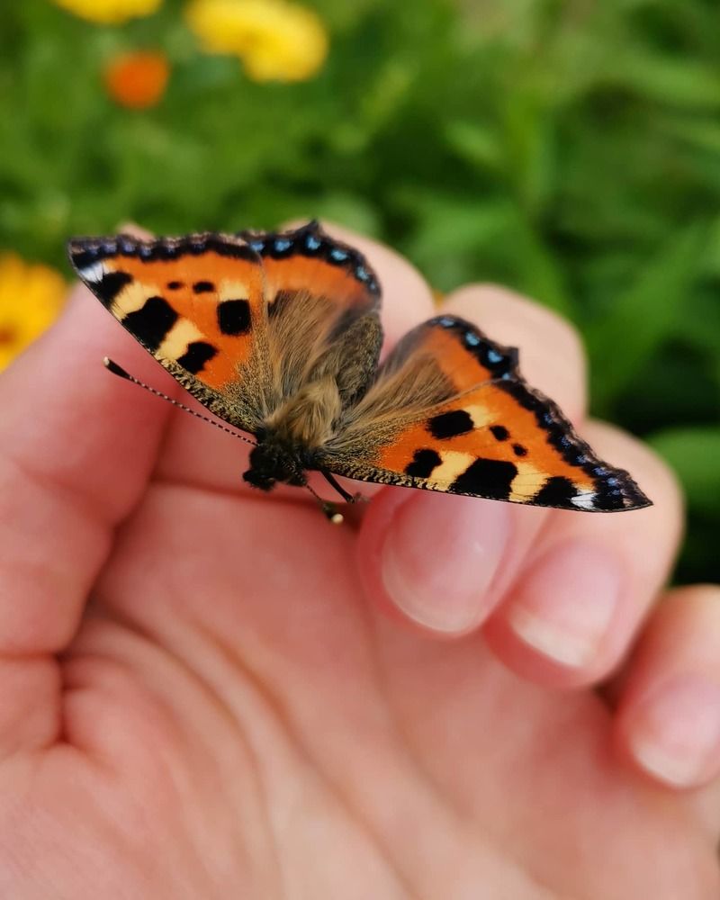 Photograph by Оля Герасимова