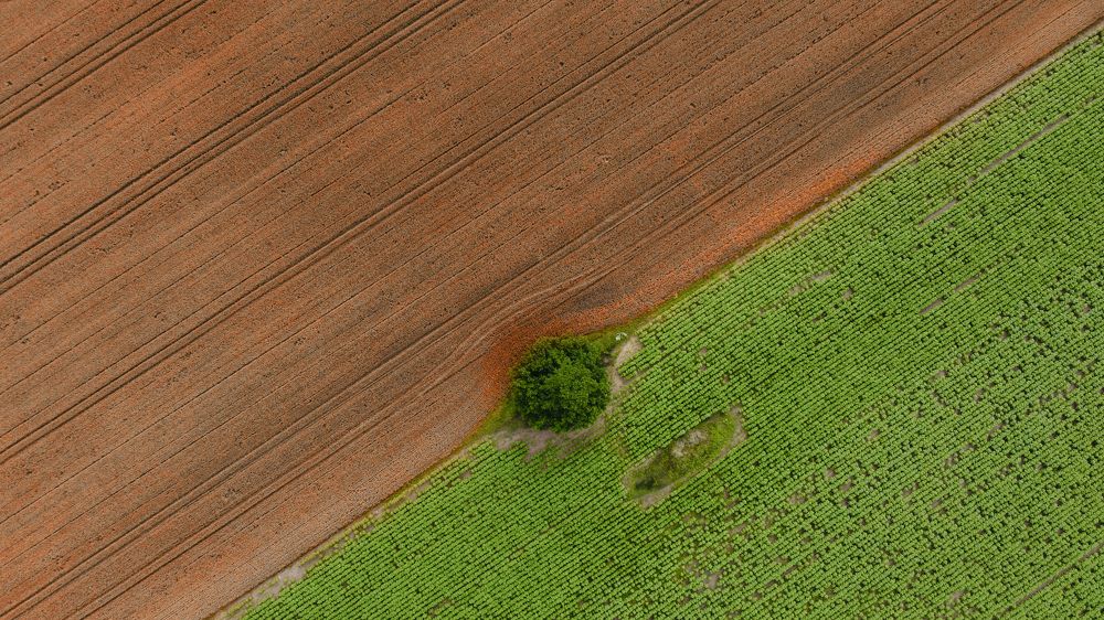 Photograph by Mihai Romeo Bogdan