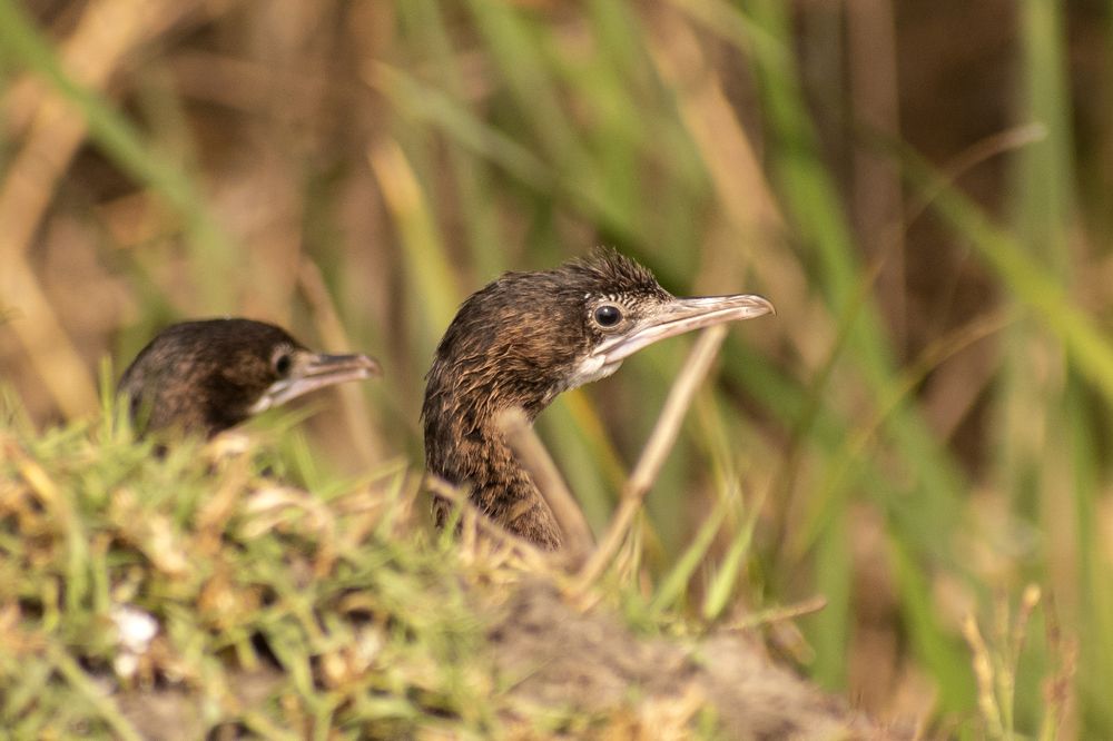 Photograph by mayur shrimali