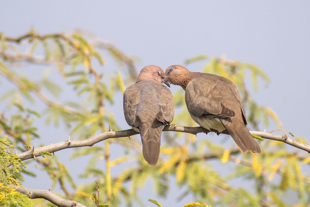 Photograph by mayur shrimali