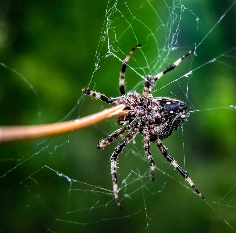 Photograph by #AL_StekloV Алексей