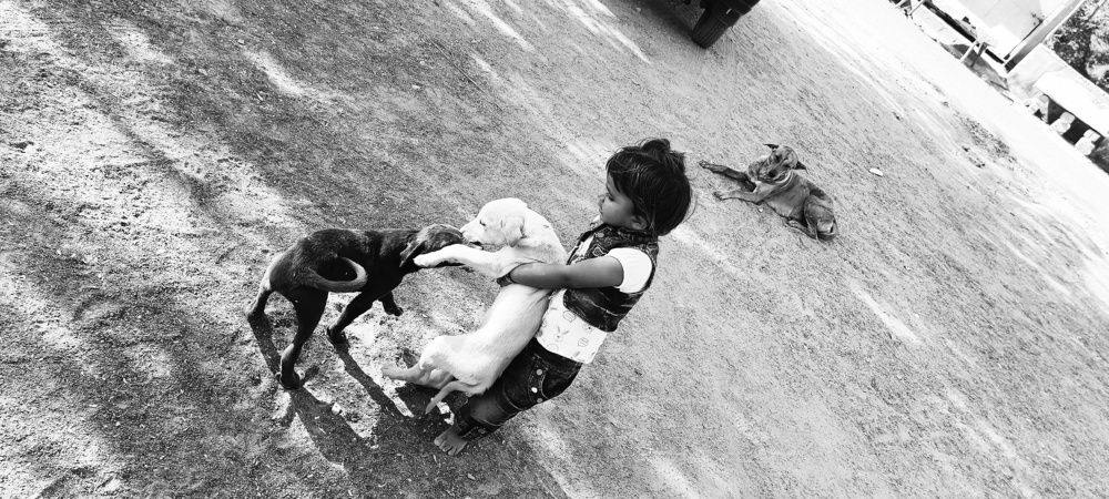 Фотография автора Ashish Matiya