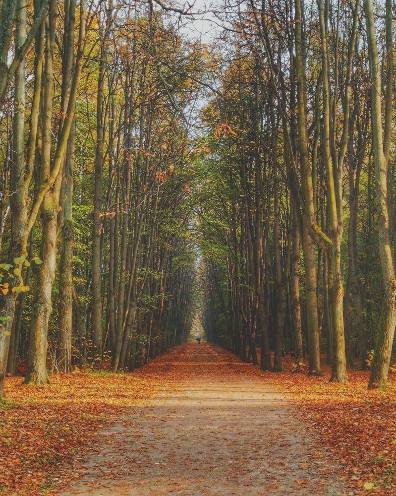 Photograph by Николай