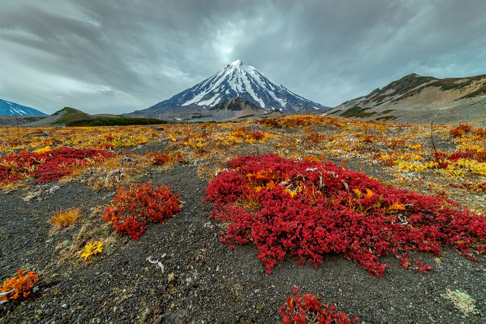 Photograph by Denis Zakalyapin