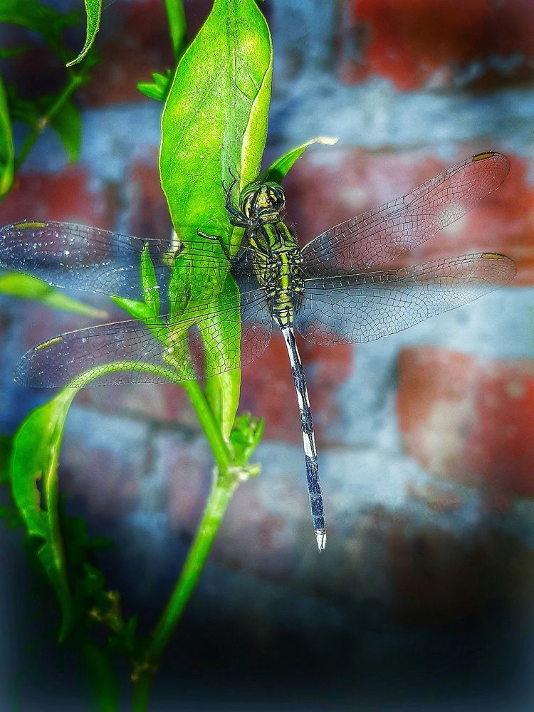 Beautiful creature of mother nature!!