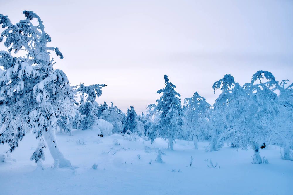 Photograph by Елена Мормоль