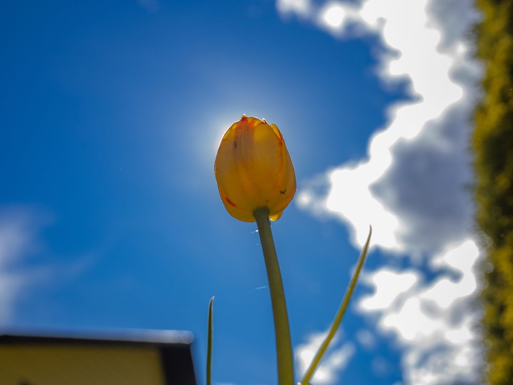 Photograph by Олег Ващилко