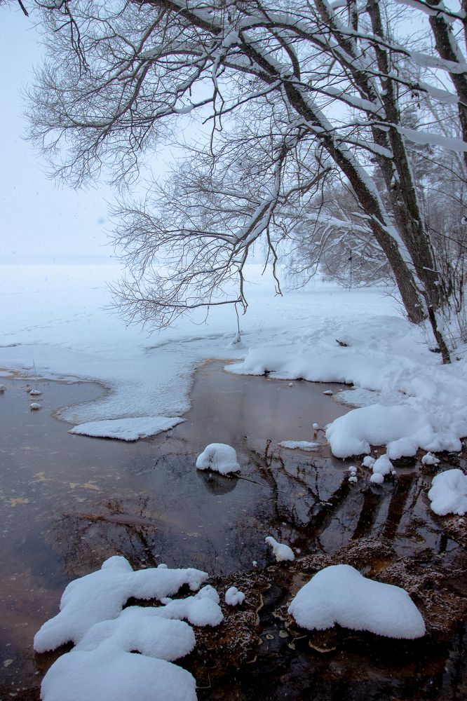 Photograph by Ольга Шупель