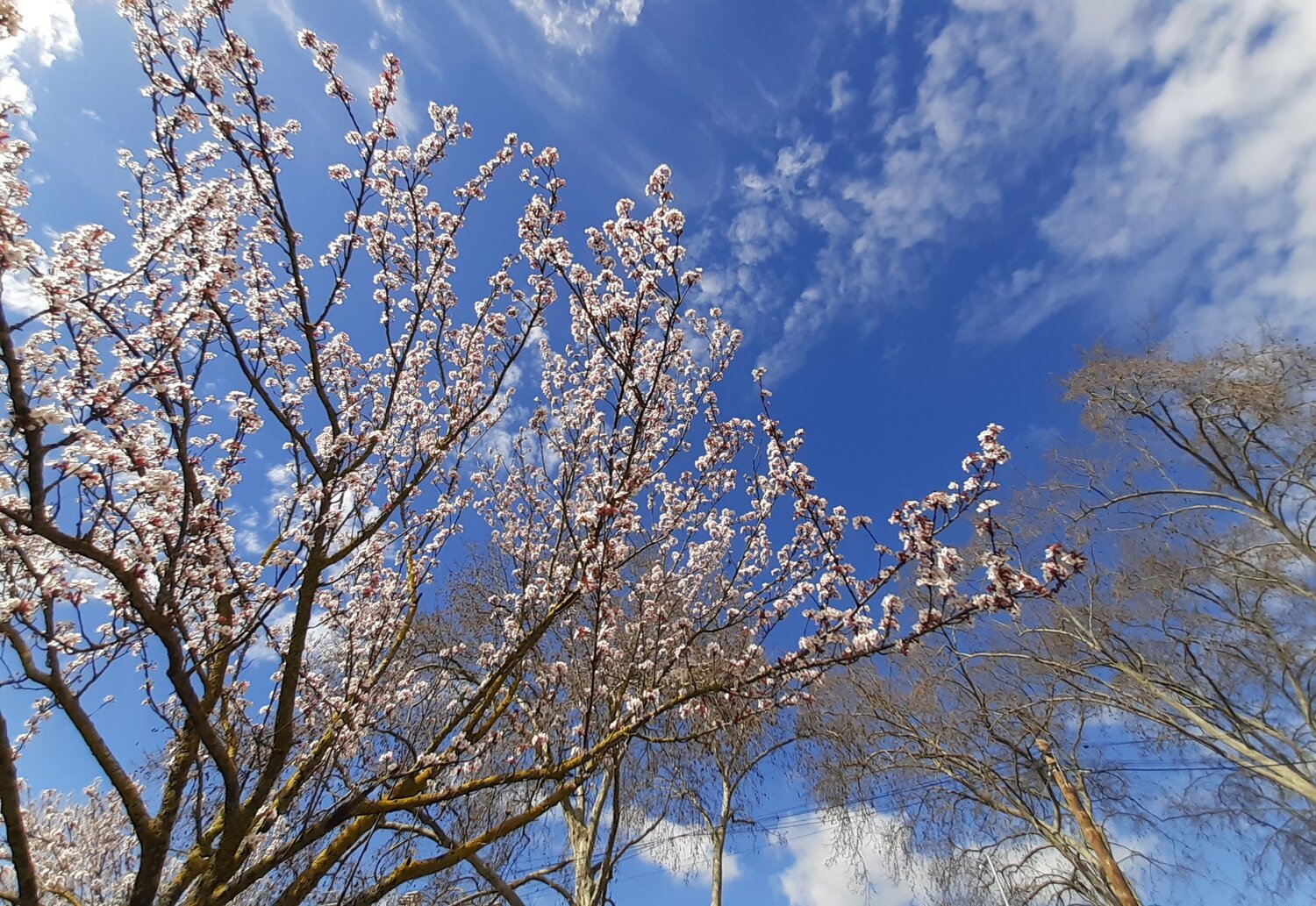 Photo #5931228