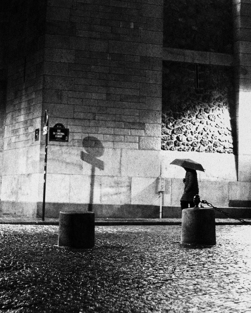 Photograph by Anastasiia