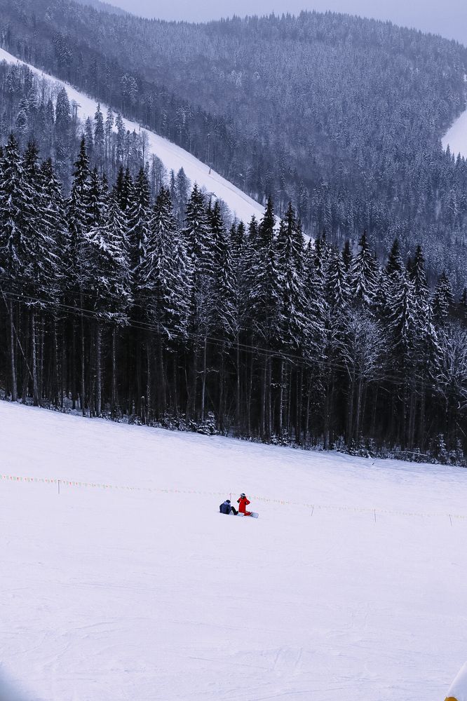 Photograph by Anastasiia