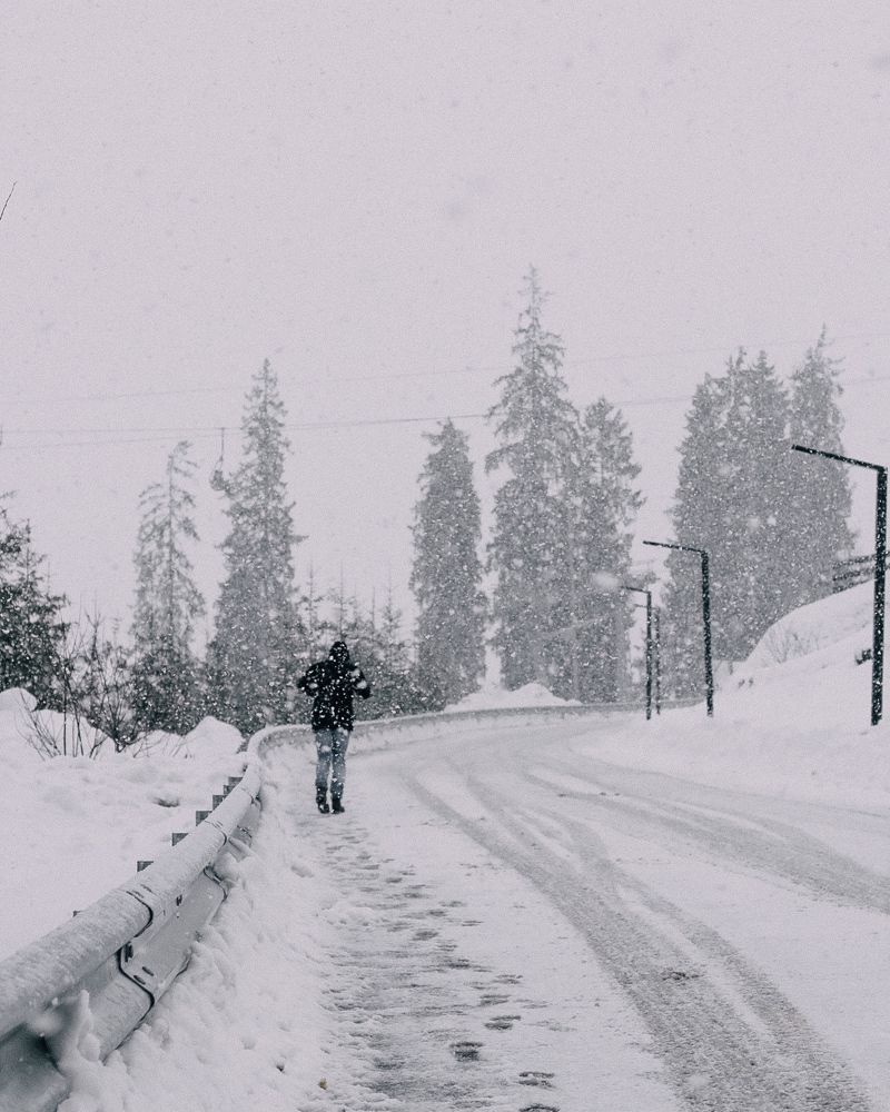 Photograph by Anastasiia