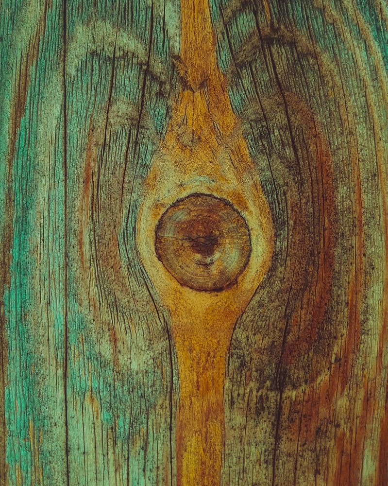 Photograph by Алия Аткельтирова