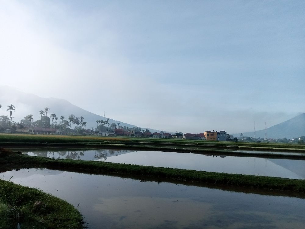 Photo #5931283