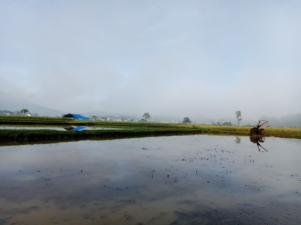 Photo #5931286