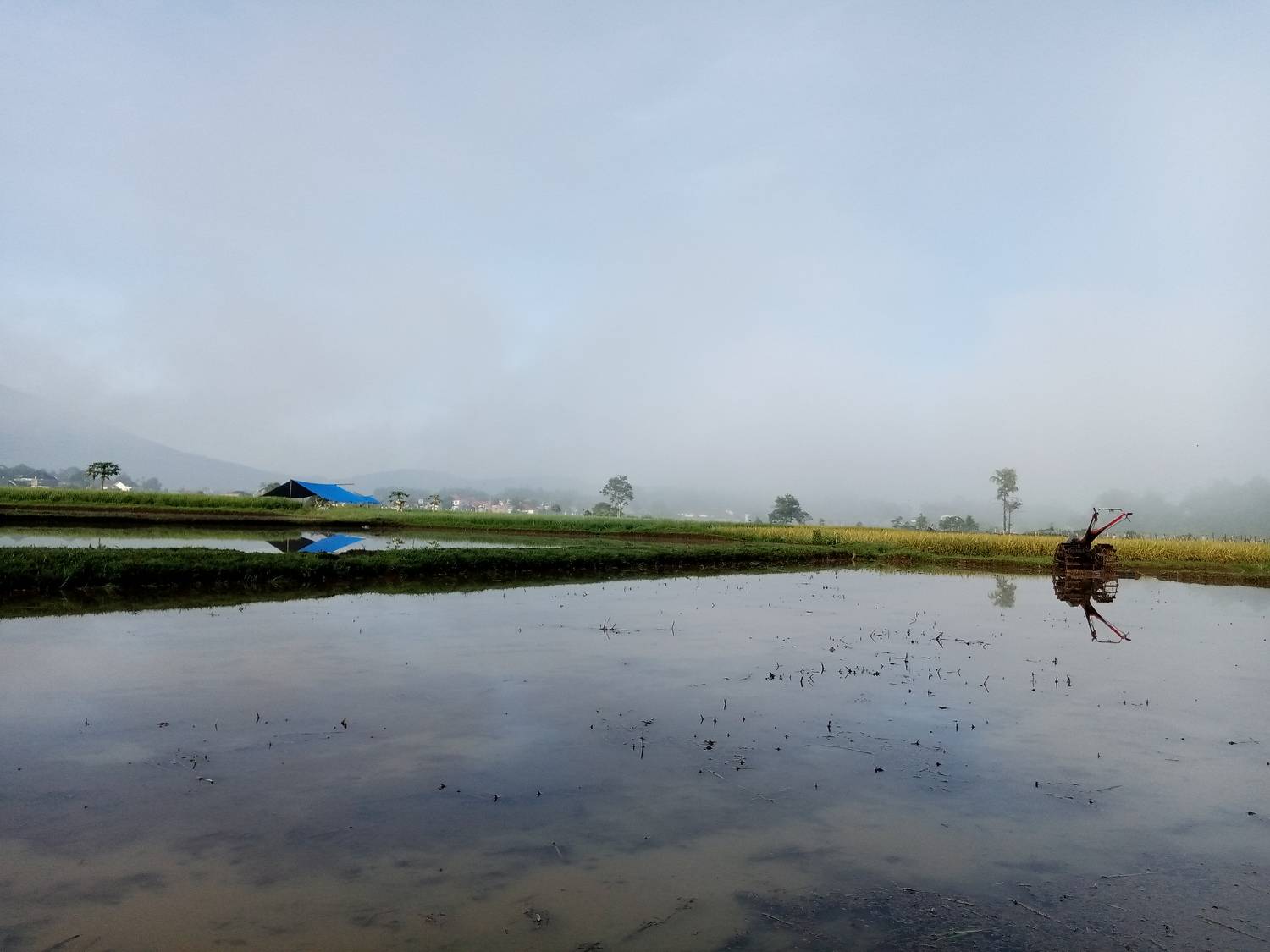 Photo #5931286