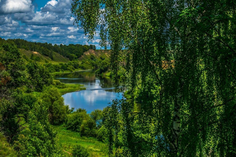 Вид на реку Оку