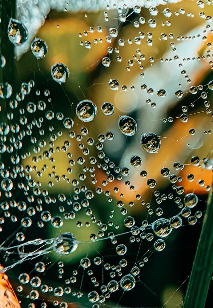 Photograph by Татьяна Гринько