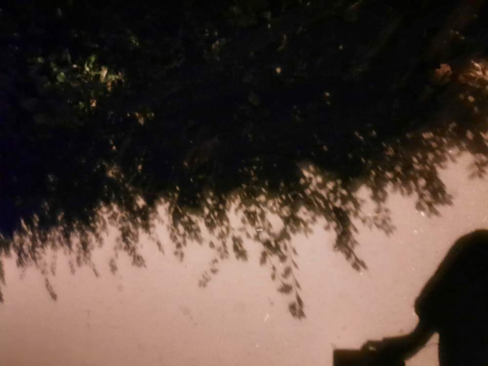 Photograph by Иванова Ира