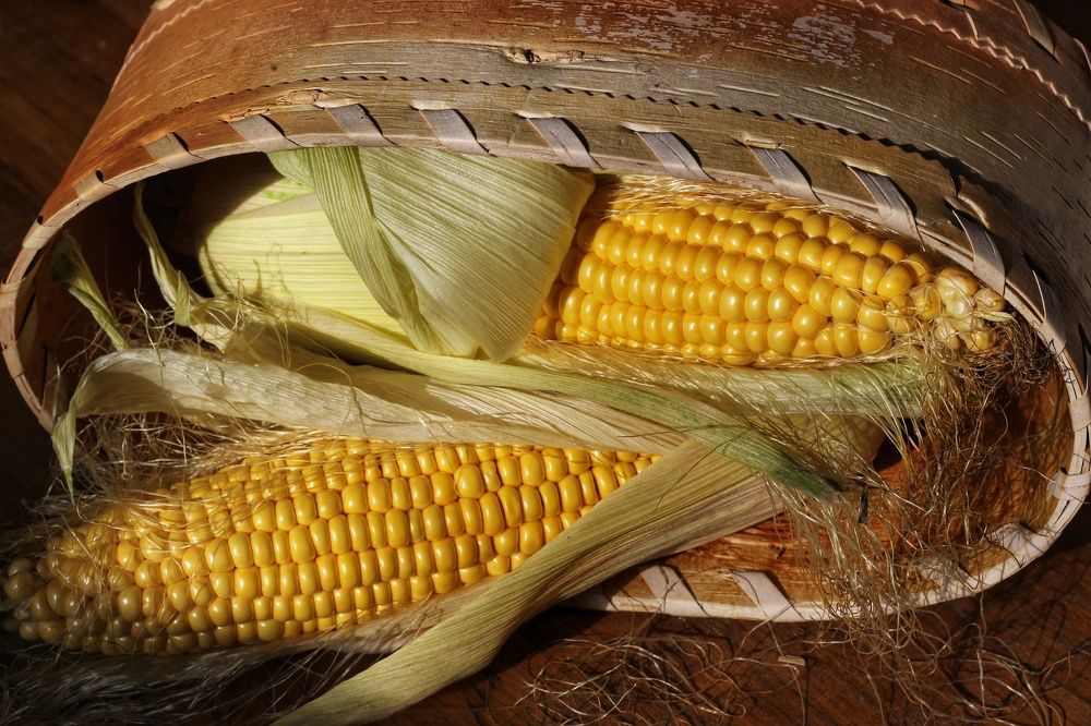 Photograph by Ольга Куренкова