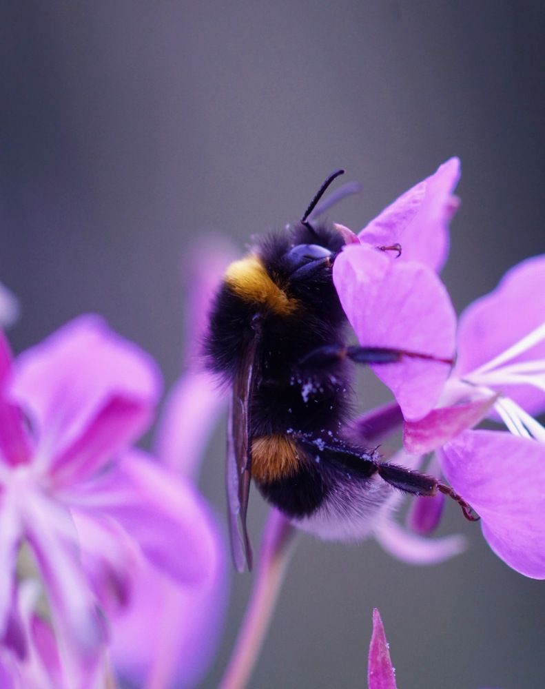 Photograph by  Kelli