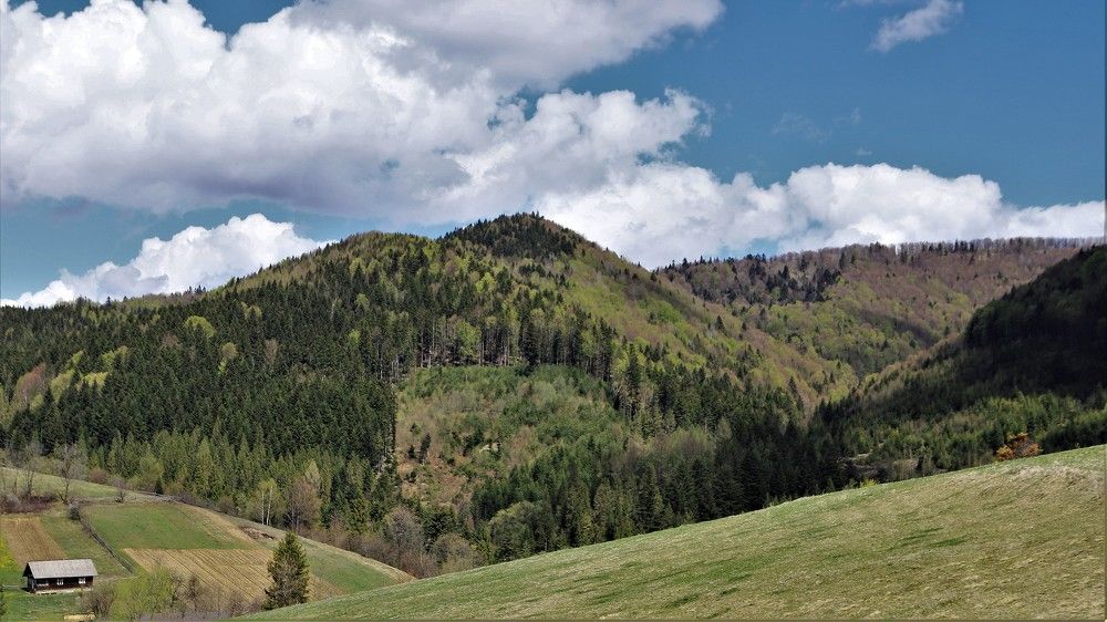 Photograph by Андрей Телибаев