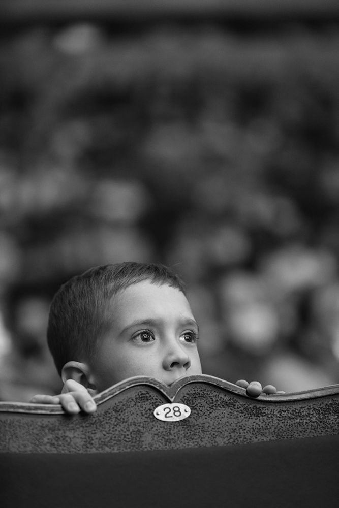 Фотография автора Тема Цезарь